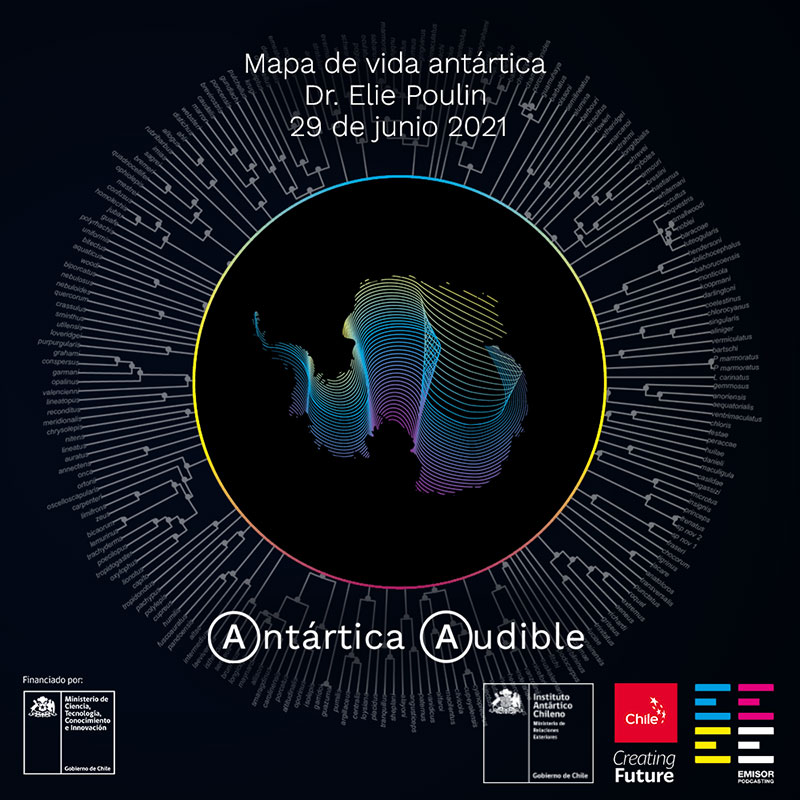 La Antártica Chilena - Un Eco hacia el Futuro | MarcaChile.cl