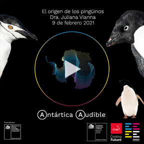 La Antártica Chilena - Un Eco hacia el Futuro | MarcaChile.cl