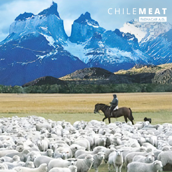 Chile Meat