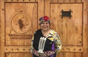 Innovation, technology and wellbeing: three Mapuche enterprises you should know about