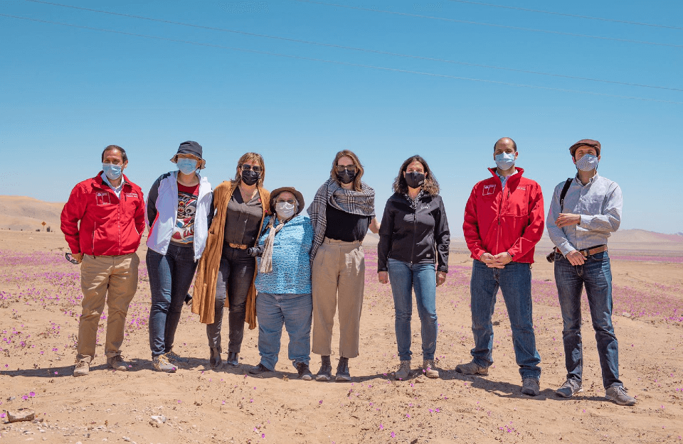Desierto florido, paleontología y astronomía: Imagen de Chile y Sernatur realizan viaje de prensa internacional a la región de Atacama
