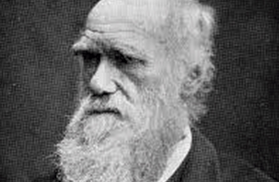 Charles Darwin y su paso por Chile