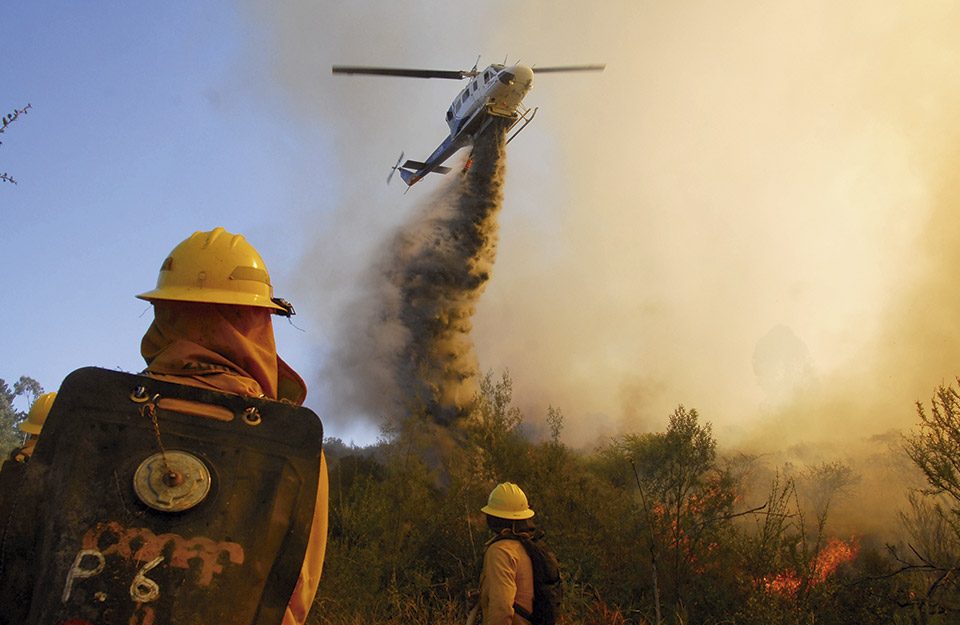 Forest fires in Chile: the collaboration behind the emergency | Marca Chile